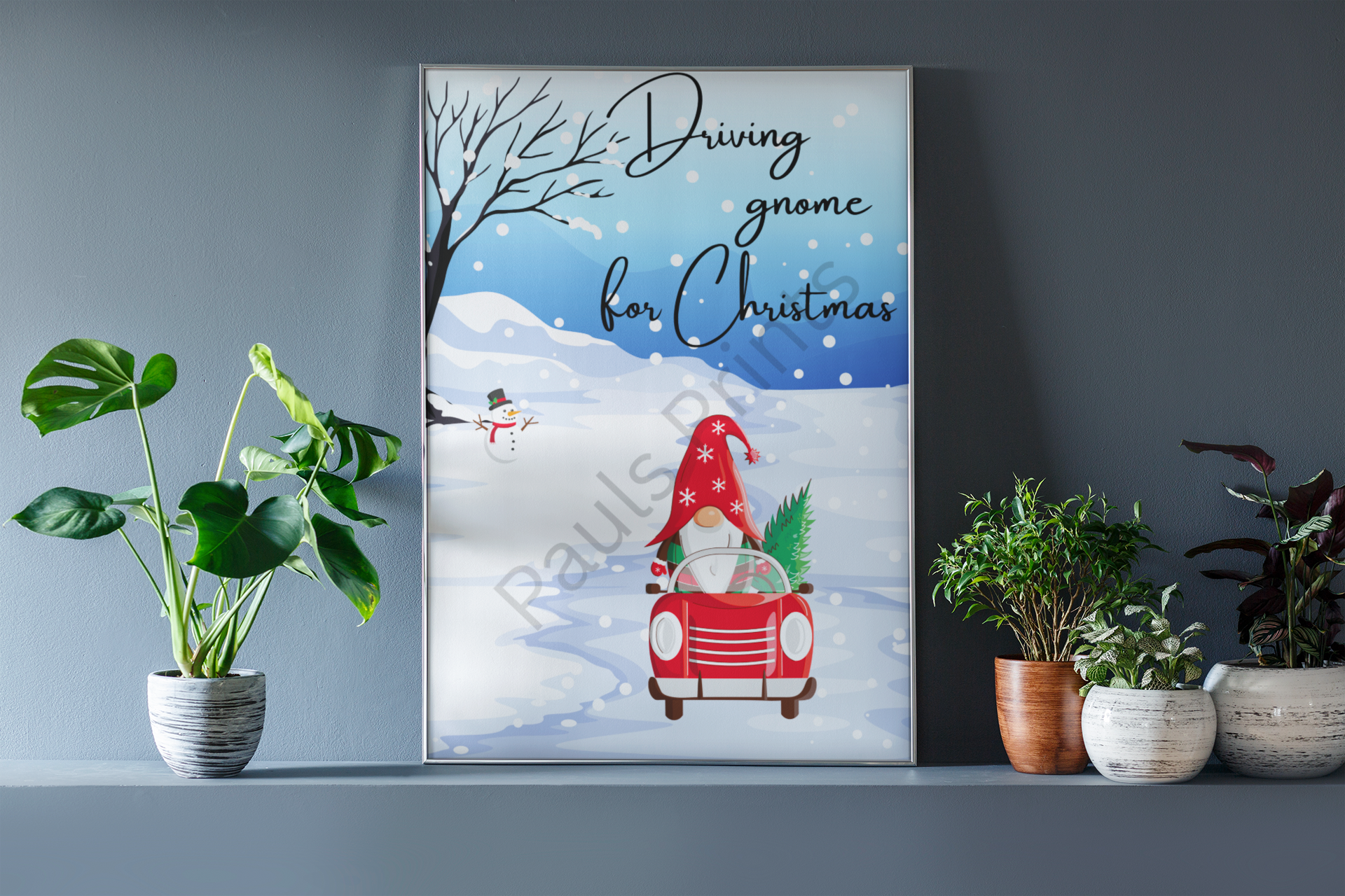 Gnome in red car carrying a Christmas tree, snowy background, framed in silver with plants on a shelf.