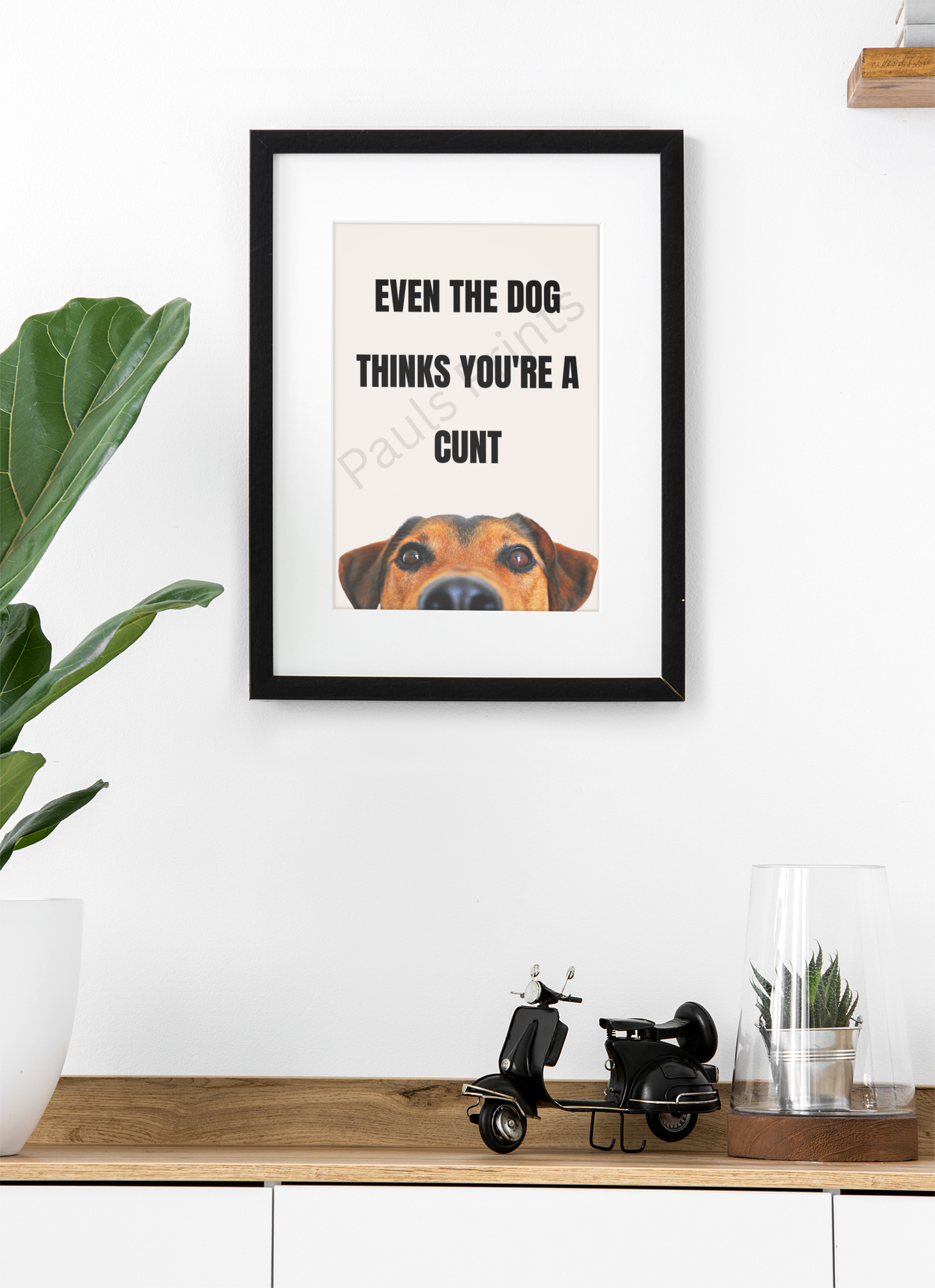 Humorous print reading “Even the dog thinks you’re a c***” with a dog’s head peeking up from the bottom, displayed in a black frame on a white wall with plant and decor.