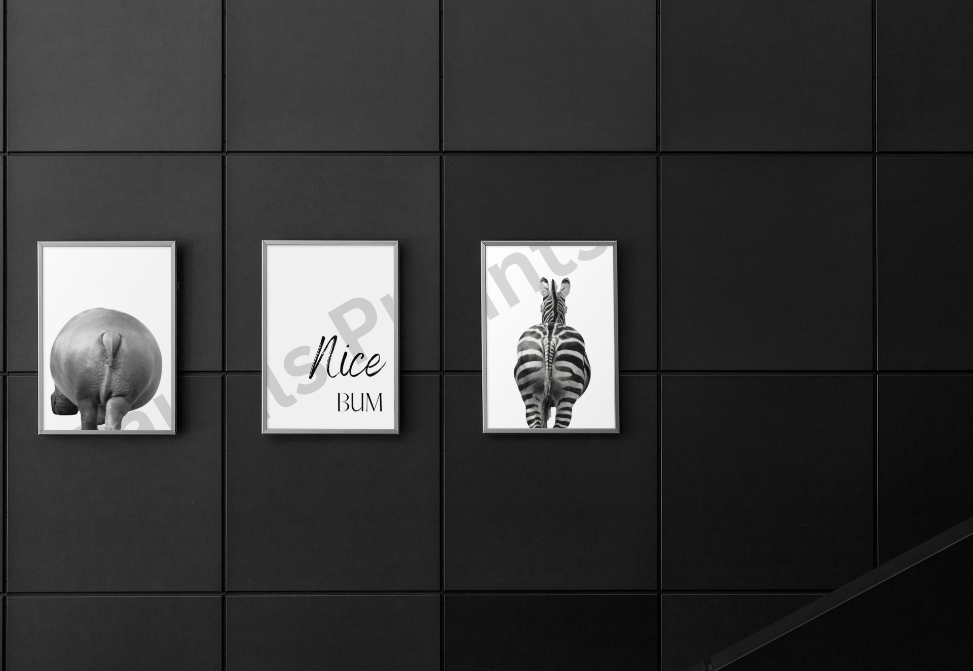 A sleek, black-tiled hallway with framed black-and-white prints featuring a hippo, zebra, and “Nice Bum” typography in the center.