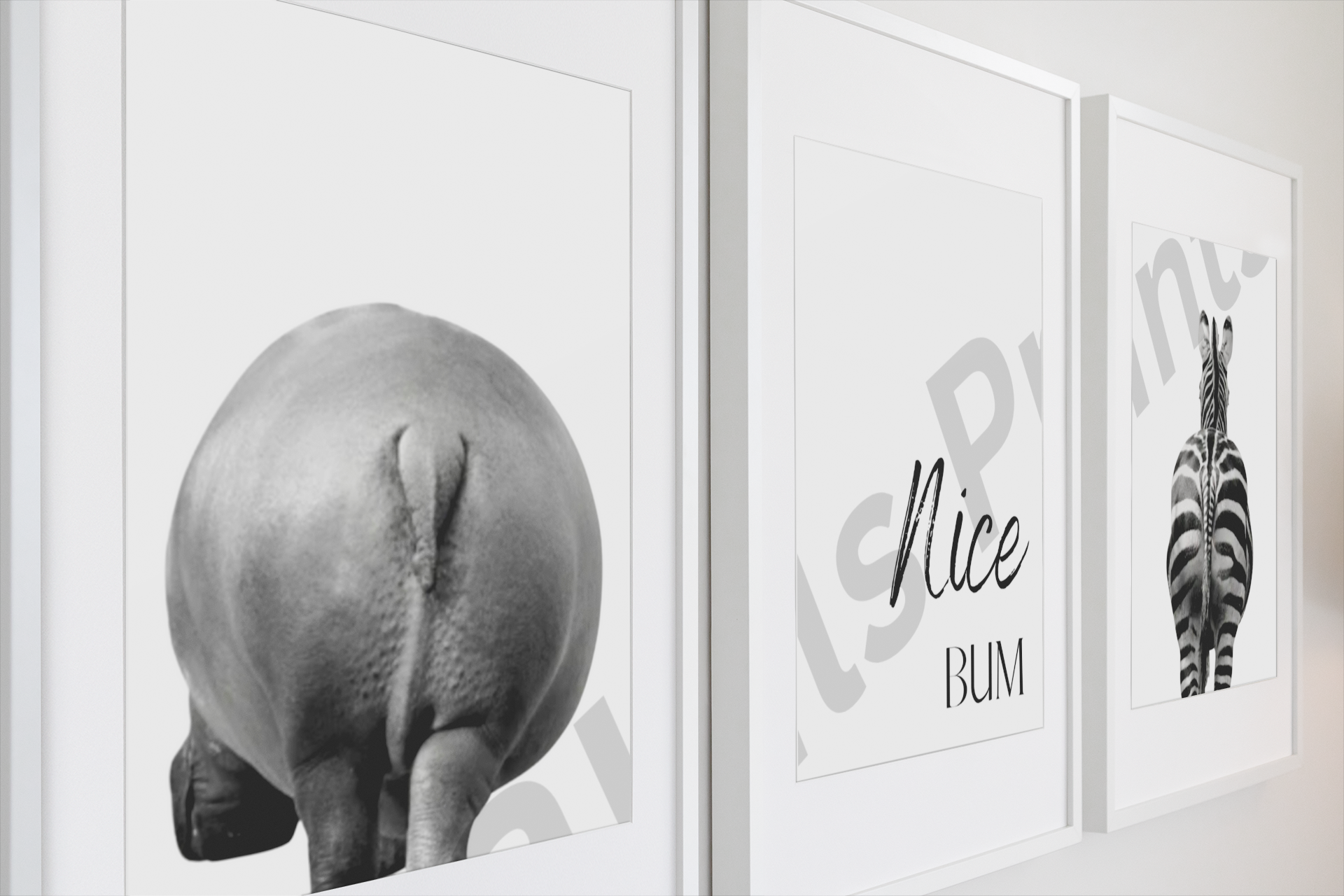 Side perspective showing detailed textures of framed prints: a hippo rear, playful “Nice Bum” text, and a zebra backside in crisp monochrome.